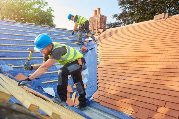 Best Roof Ventilation Installation  in Cold Spring, KY